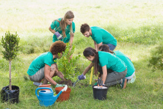 Priority Health_Personal Wellness_Benefits of Volunteering_Good for Your Health_Gardening