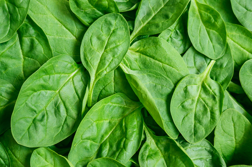 Priority Health_Personal Wellness_Michigan Farmers Market_Farmers Market Recipes_Spinach