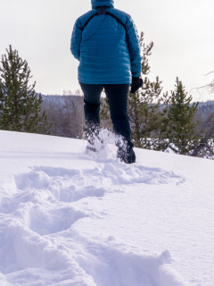 Priority Health_Personal Wellness_Winter Activities_Beat the Winter Blues_Snowshoe