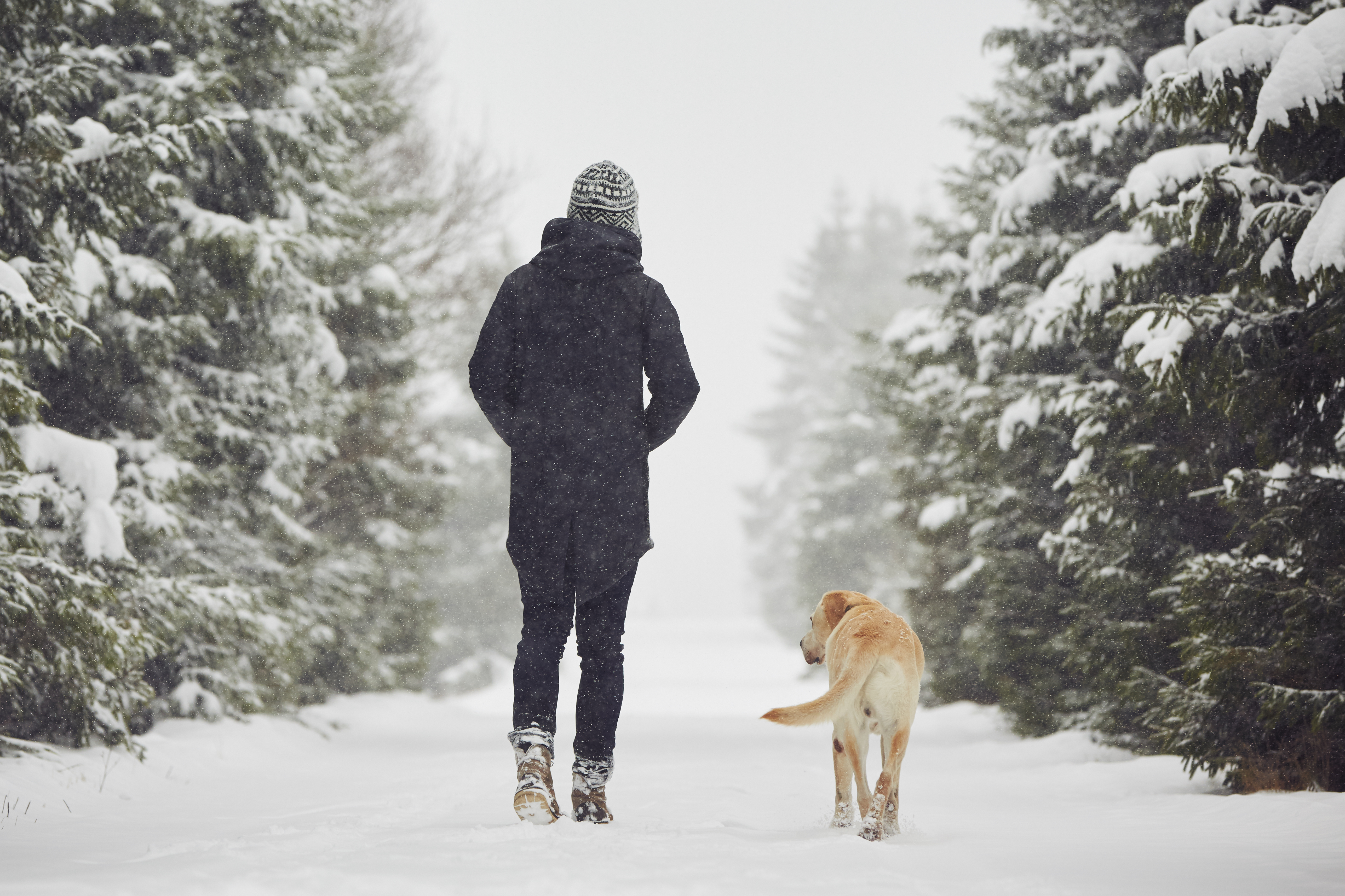 Priority Health Personal Wellness Tidings of Comfort Winter Walk