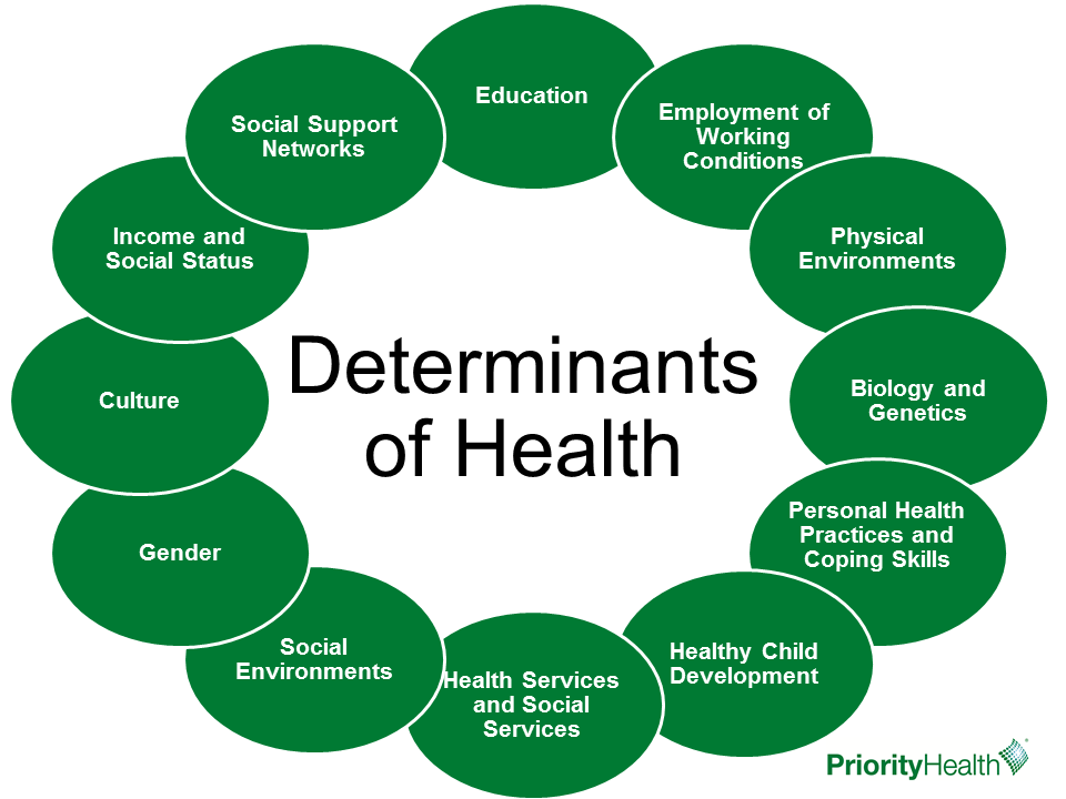 Opioid Determinants of Health