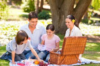 Family having picnic