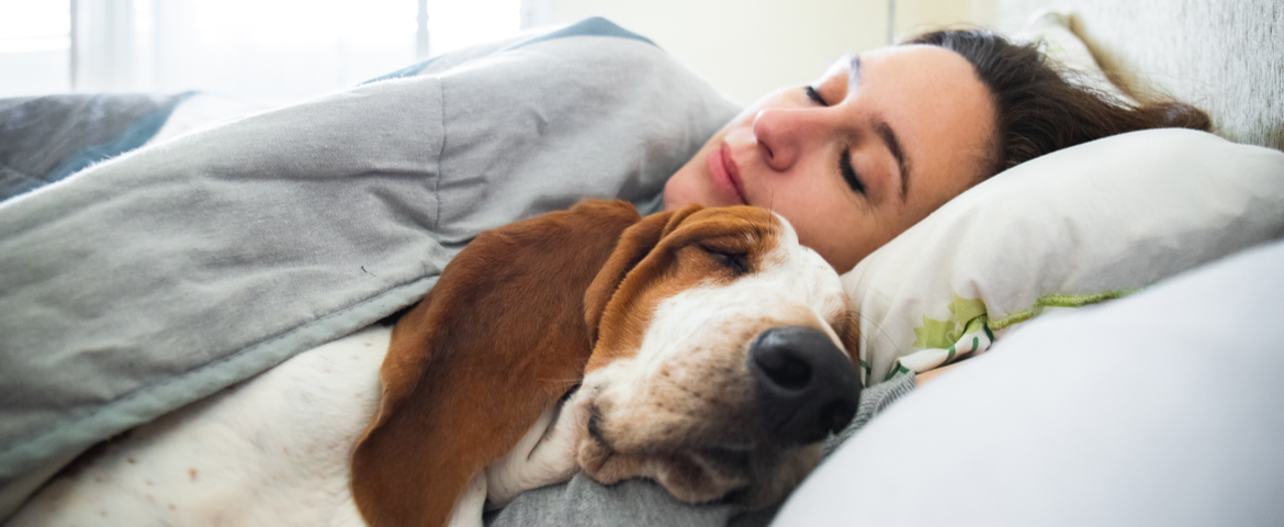 Snooze Your Way To Better Health With These 5 Sleep Tips ThinkHealth