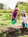 7 Healthy, Fun Summer Activities to Do With Your Kids
