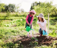 7 Healthy, Fun Summer Activities to Do With Your Kids