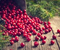 The Health Benefits of Cranberries