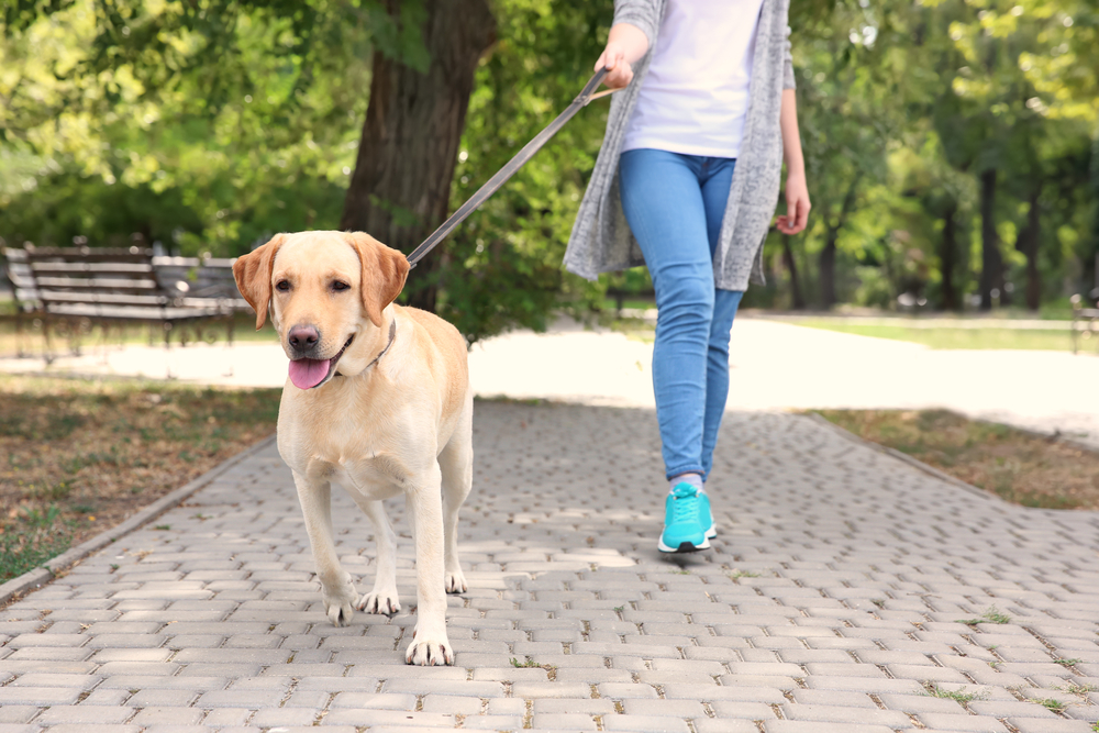 8 Tips to Stay Physically and Mentally Healthy While Working from Home ...