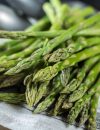 Veggie Tales: Asparagus, the Perennial Powerhouse