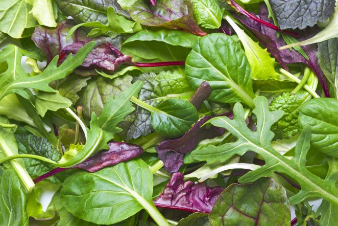 5 Leafy Greens to Help You Stay Healthy this Spring