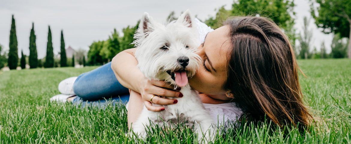 Dog Days of Summer: Health Benefits of Dogs