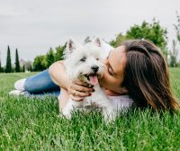 Dog Days of Summer: Health Benefits of Dogs