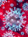 What You Need to Know About Coronavirus: COVID-19