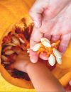 Trick or Treat: How to Make the Most of Pumpkin Insides