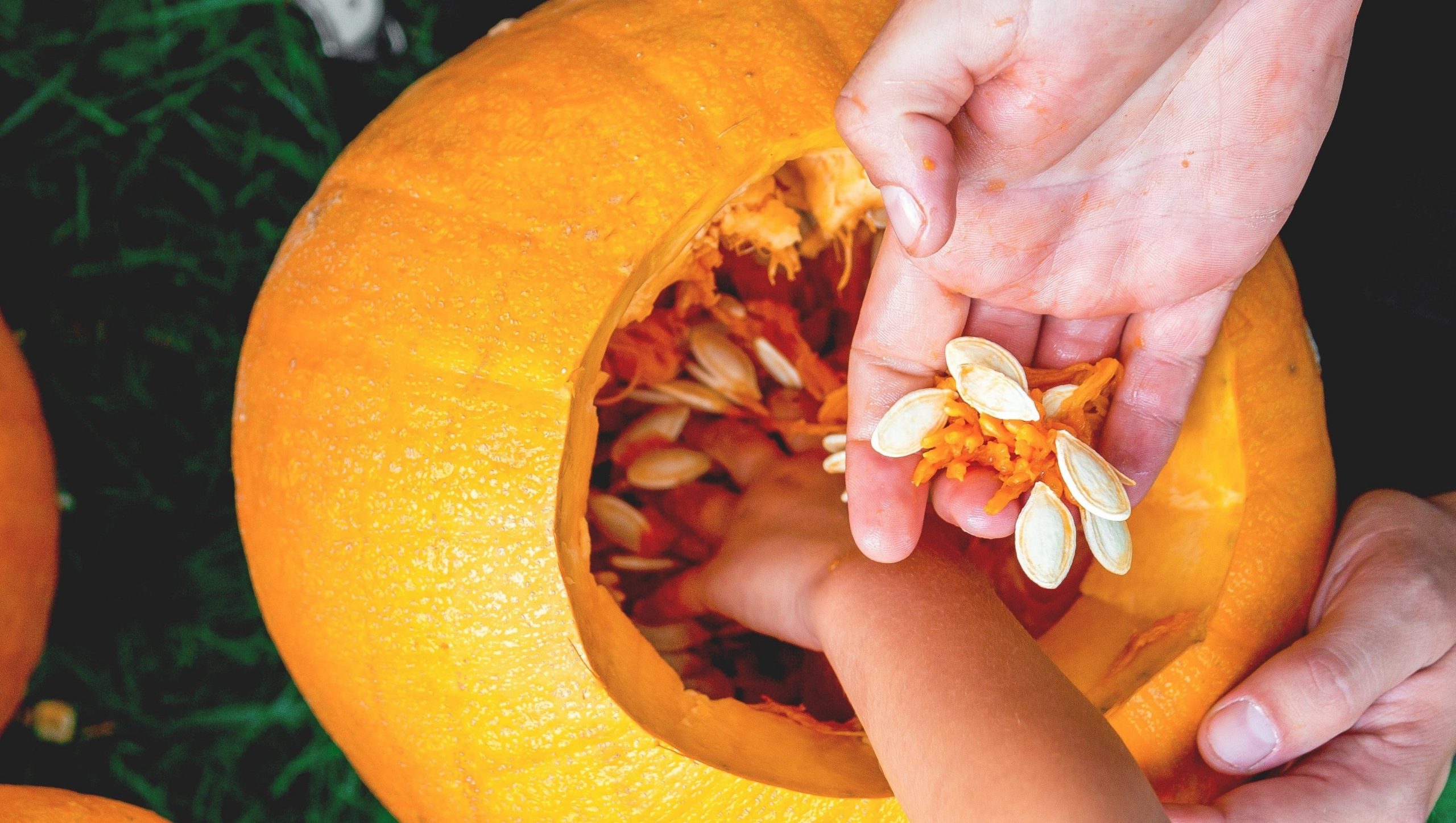 Trick Or Treat How To Make The Most Of Pumpkin Insides ThinkHealth