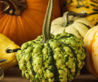 Veggie Tales: Health Benefits of Michigan Fall Harvest Foods