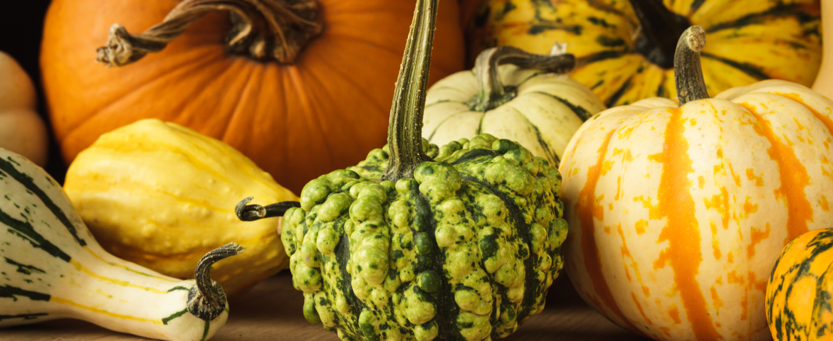 Veggie Tales: Health Benefits of Michigan Fall Harvest Foods