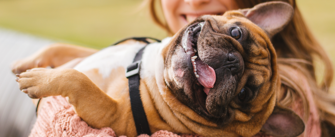 The Health Benefits of Being a Pet Owner