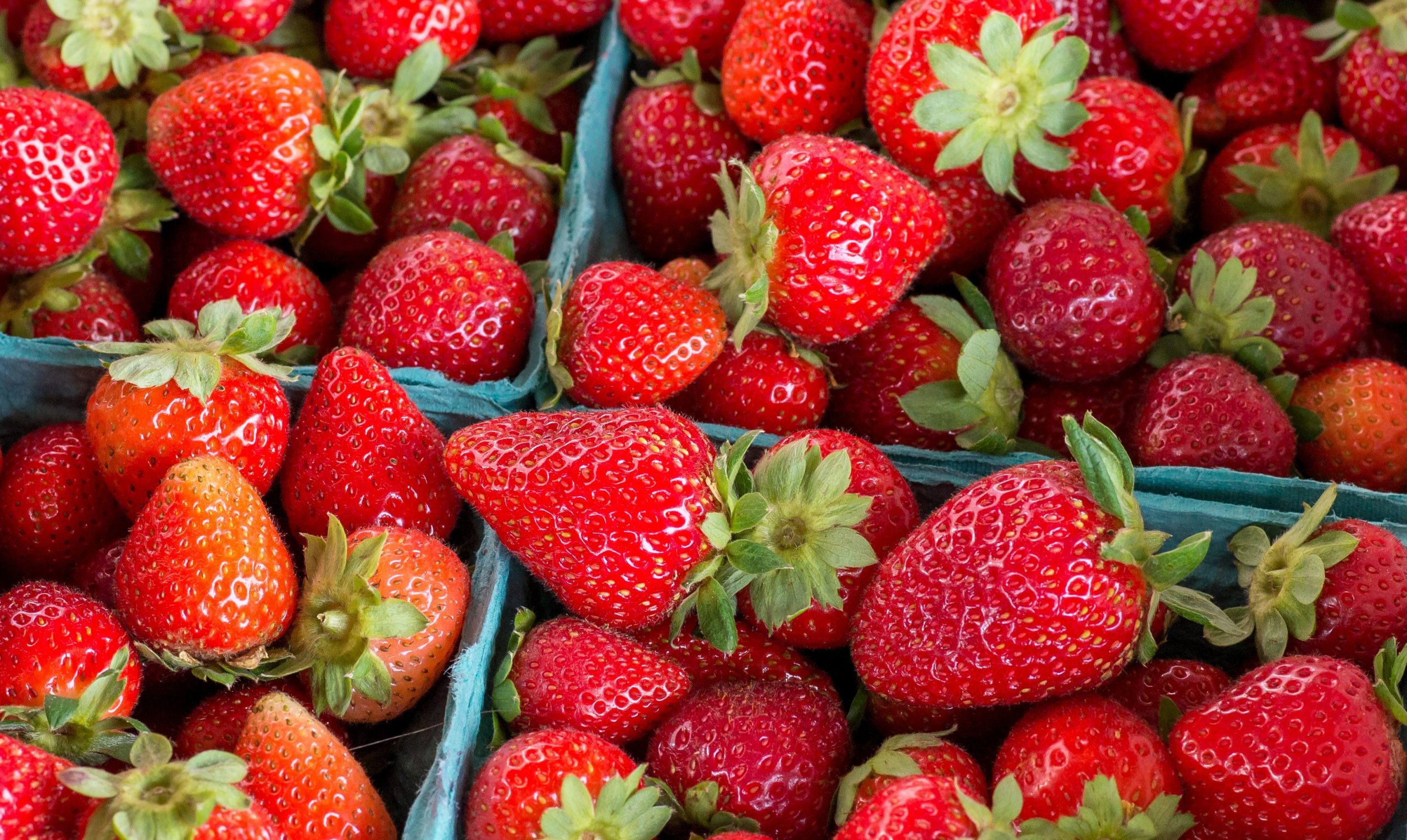 Strawberries in Season: Healthy Recipe Roundup - ThinkHealth