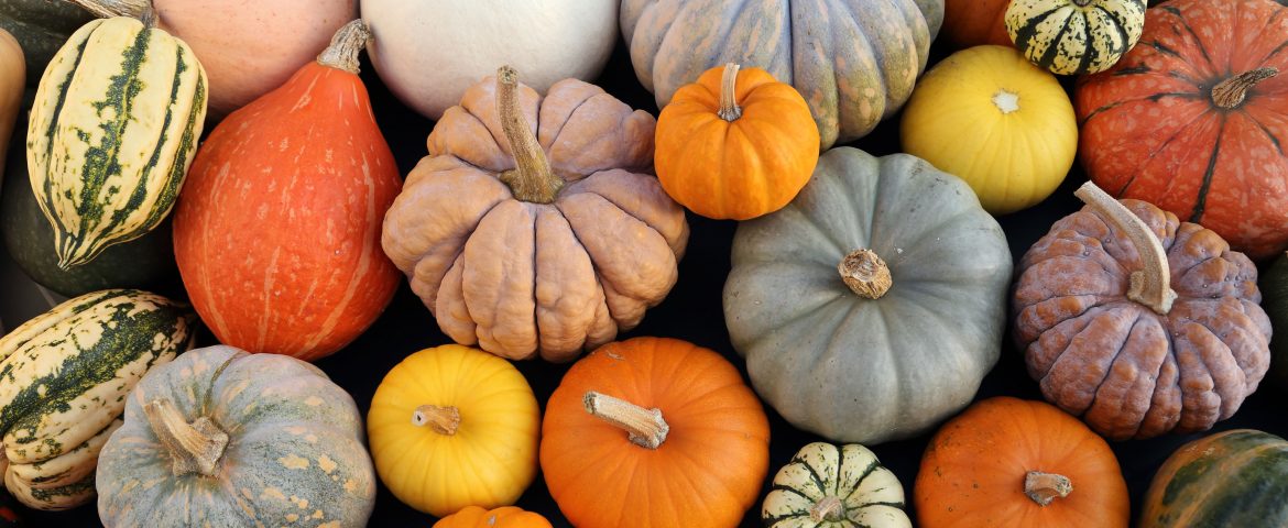 Veggie Tales: Health benefits of Michigan fall harvest foods