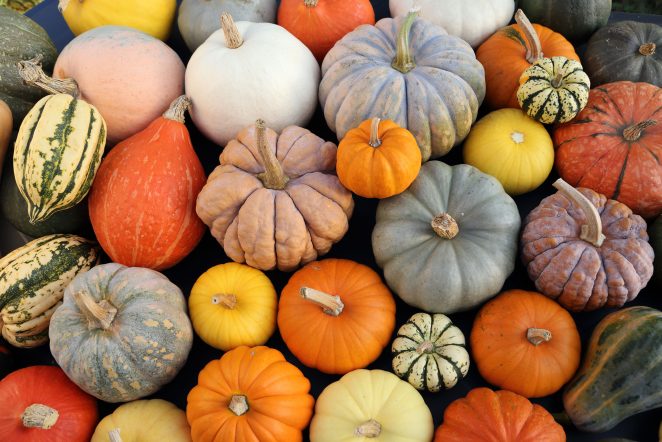 Veggie Tales: Health benefits of Michigan fall harvest foods