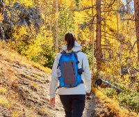 Healthy Hiking: 5 Michigan Trails to Explore this Fall