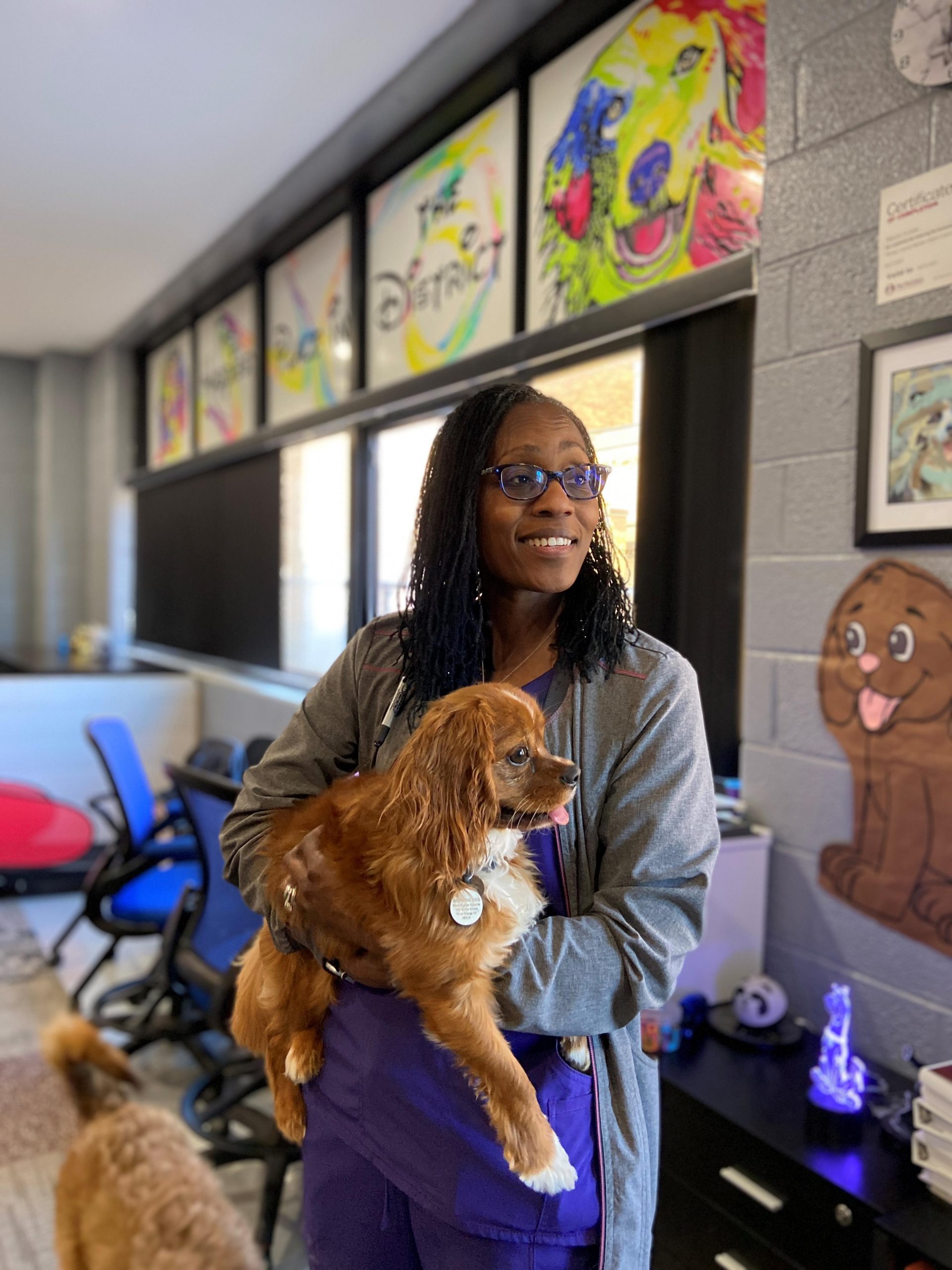 Explore The Benefits Of A Support Dog ThinkHealth explore-the-benefits-of-a-support-dog-thinkhealth