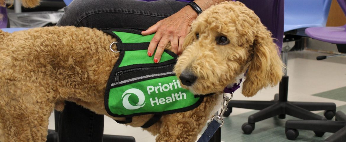 Priority Pups™: Improving Mental Health and Wellness for Michigan Students