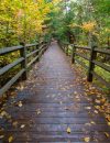 More Michigan trails to hike and explore this fall