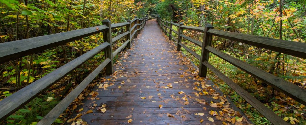 More Michigan trails to hike and explore this fall