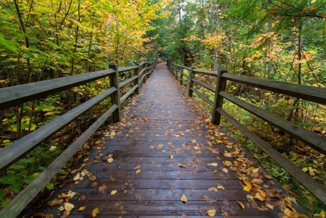 More Michigan trails to hike and explore this fall