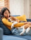 Ten Ways Pets Improve Our Health and Wellness