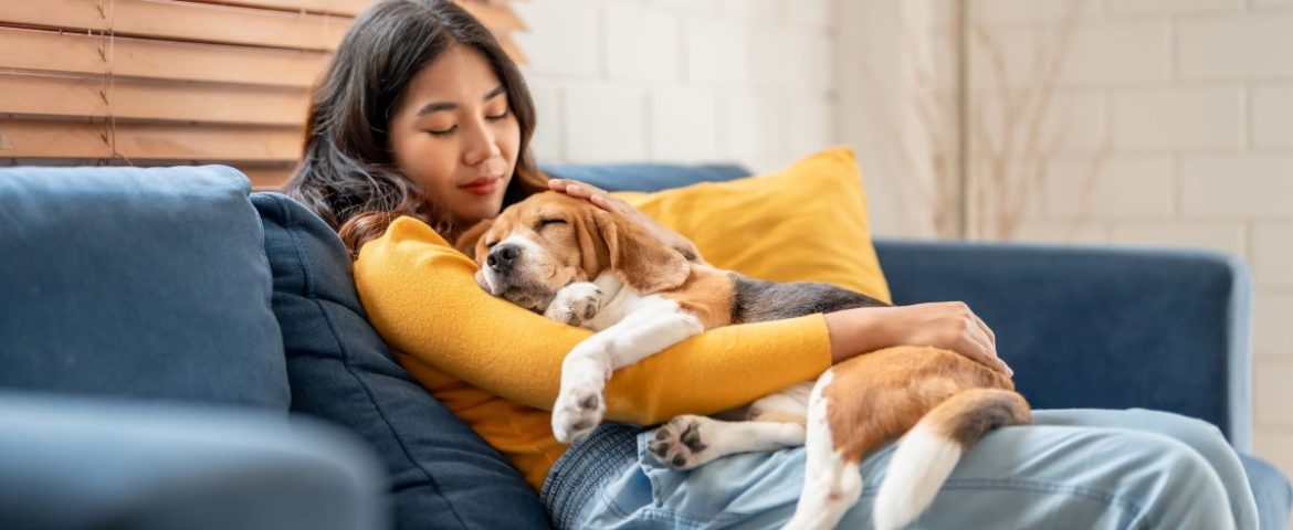 Ten Ways Pets Improve Our Health and Wellness