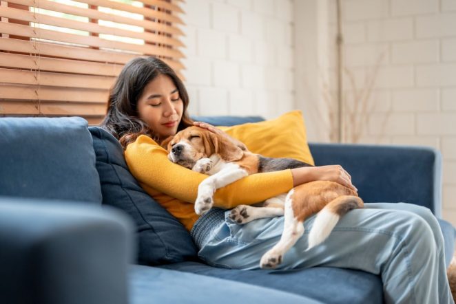 Ten Ways Pets Improve Our Health and Wellness